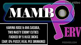 I watched Karina Rose and two ebony cuties get pounded by huge cocks