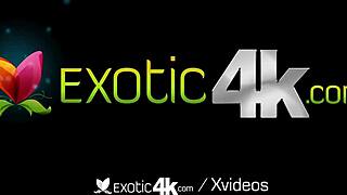 Curvy Babysitter Caught And Pounded By Big Dick?