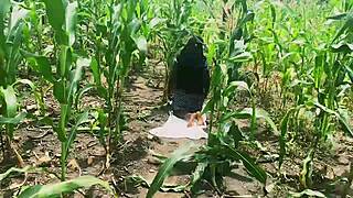 Farm doggystyle cumshot with big cock and big ass in nature