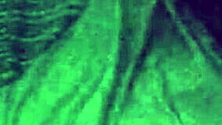 early morning fuck with asian ma'am while bf sleeps