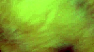 wife begs to be fucked hard