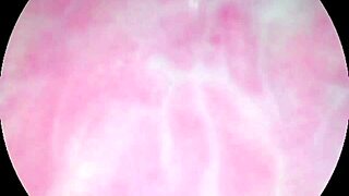 Camera Inside Creamy Juicy Pussy Until Cum Hard