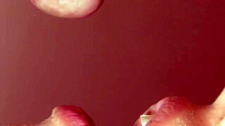 Japanese Wife's Slutty Blowjob Journey