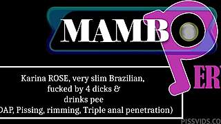 Karina rose slim brazilian fucked by four dicks