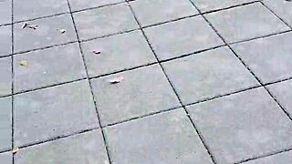 Chinese crossdressing ladyboy masturbates outdoors in stockings during midday urge.