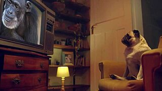 Whoa, benefit monkey Katrina Moreno takes a hard fucking with cum covering her big curvy tits and fat ass! 💦🍑