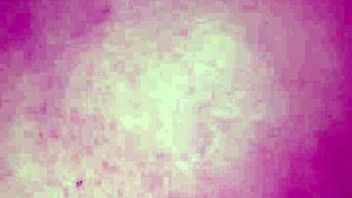 Amateur lesbians rafayblanca and margarita gonzález explore assfucking with a sugar jar