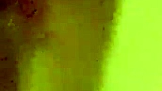 Hey that bbw with big tits gives such great head in this homemade clip