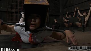 Four angels gather inside a tiny 18+ cage for a unique display. Details include their positions and interactions within the confined space.