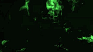 Fui Conhecer a Colômbia Arrombei o Cuzinho de uma Colombiana Novinha Que Delicia