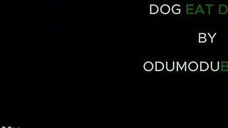 nigerian girls take turns riding big black cock in rough group session