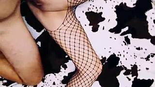 this cute wife in an erotic fishnet bodysuit beautifully spreads her legs for pov anal