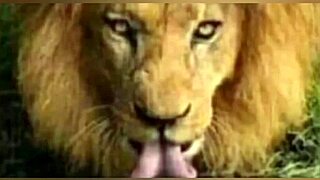 best blowjobs deepthroats rimjobs and creampies with petite latina
