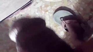 amina the big whore takes intense assfucking in wild sex session with screams and moans