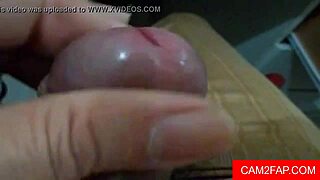 pussy free solo man porn video