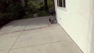 Milf Jessica Lynn gets a load in her face