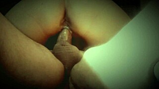 Why Settle For Ordinary When You Can Ride This Hot Bug Cowgirl Style?