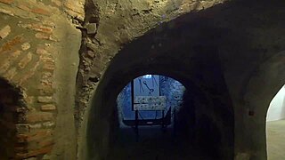 Can you handle this femdom handjob tutorial with Roxy Fox using cucumber for cute orgasm?