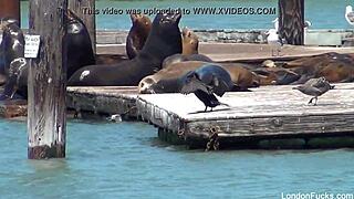 London keyes bts part 2, stripping big tits asian babe with pussy tease