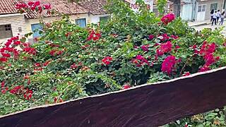 She starts indignant but begs for deeper big cock creampie in outdoor anal milf pounding!