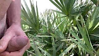 Hey, check out Clitlicker662's latest update 40 with img 1437 from June 30, 2025 – wild outdoor masturbation action unfolding