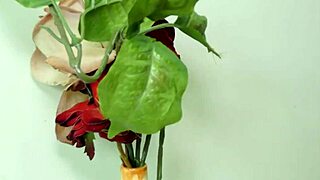 Sexy tranny luana alves treats her ass to machine sex with toys solo