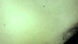 Subtle Hints of Instagram Normitagutierrrez as Mature Big Ass Bbw Mommy Swallowing Cock in Fat Curves Display