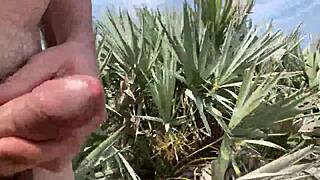 Hey, check out Clitlicker662's latest update 40 with img 1437 from June 30, 2025 – wild outdoor masturbation action unfolding