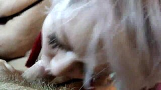 Who knew a simple blowjob could turn into real art when peter stone films it up close with the girl next door?