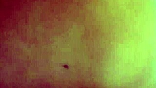 oh how i love riding my brother-in-law's cock