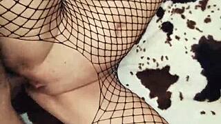 Fishnet underwear excites couple for homemade pov anal assfucking in lingerie.