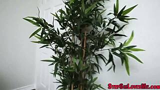 Slutty Stepsister Sucks Huge Cock In High Definition Pov With Intense Cumshot Action