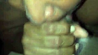 Trimmed Video File EC535C4E from Archive Collection