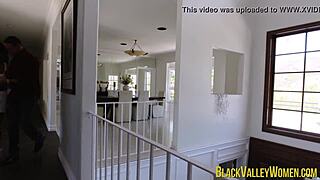 Awesome Boobs Daya Knight Sucking Dick And Pounded