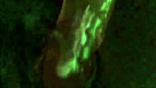 In this homemade video, an ebony amateur loves fucking herself close up with a dildo until she cums.