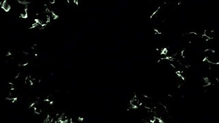 querido diario 12 with exibicionismo mamada pig mijo piss pegacao leitada briga punheta brother