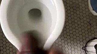 a tale of discovering the perfect nut for snacking