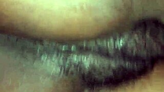 Bang my boss wife sleeping