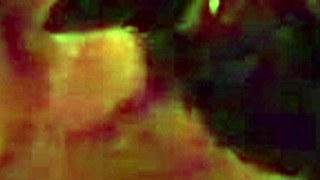 I Woke Up Horny In The Middle Of The Night