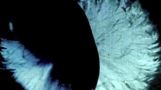 Hey, ever wondered about those wild vintage threesomes with hairy pussies and retro vibes?