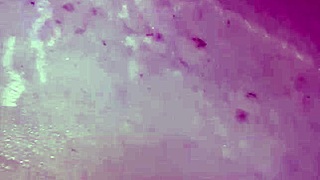 Esposa con ex & su marido!