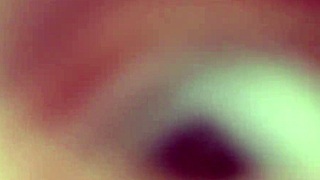 valeria the lover of carrara