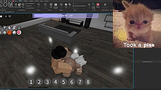 Hey, check out this psc v3 0 condo showcase with bent over cowgirl riding sideways silly usa activities