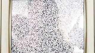 Jasmine Roses Bush Gets Blasted Full Of Cum By Doctor Tampa Round 2