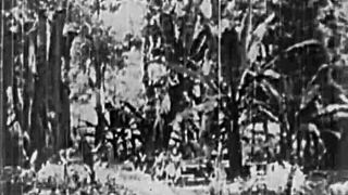 vintage beauty BENT OVER DOGGYSTYLE in hairy outdoor retro tits tease!