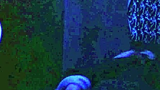 She thought it was hubby waking her for sex but it was brother-in-law