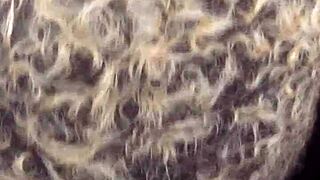 he guides her through perfect dick sucking techniques from tease to deepthroat