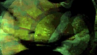 vintage artist captures hairy beavers in retro erotic scenes