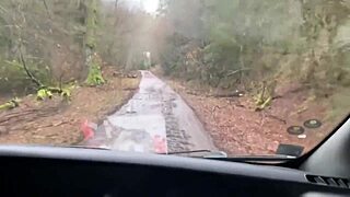 bus driver pulls over for wet pussy pounding in forest