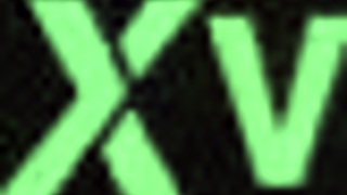 Group pussy flashing walk show